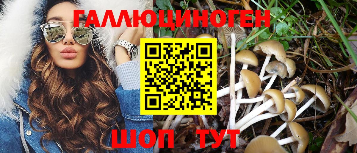 Псилоцибиновые грибы мухоморы  Галлюциногенные грибы Psilocybine cubensis  Вход с VPN  хочу   Полысаево 